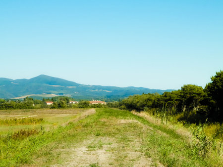 Tuscany, view of meadow and Apennines in the background. Summer in Tuscany, Italy.の写真素材