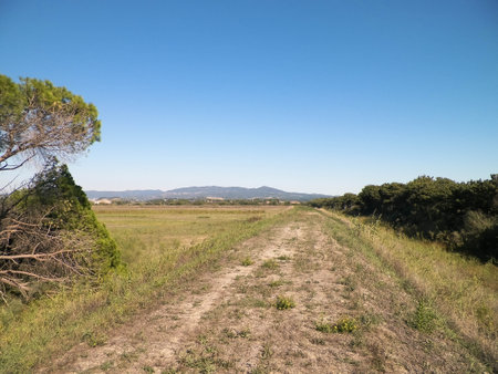 Tuscany, view of meadow and Apennines in the background. Summer in Tuscany, Italy.の写真素材