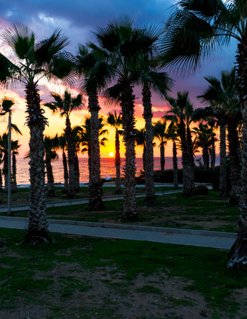 Orange sunset sky over beach in Cyprus. Exotic scenery.の写真素材