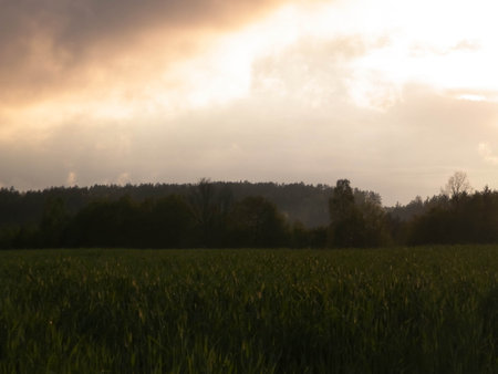 Stormy clouds, sunset sky over meadows.の写真素材