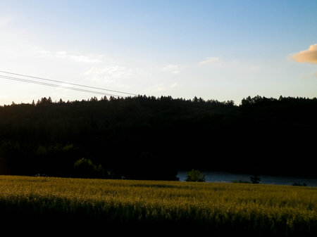 Evening over meadows. Northern Poland. Copy space on sunset sky.の写真素材