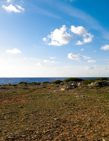 Coastal area in Cyprus near Coral Bay. Pure nature.の写真素材