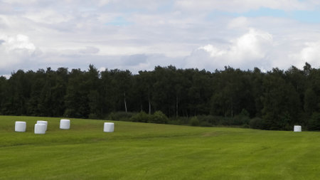 Harvest bales on a green field. End of the summer in northern Poland. Harvesting.の写真素材