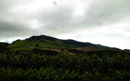 Beautiful wild nature of Sao Miguel, Azores islands. Mountains, pastures, meadows and forests. Azores is a small archipelago, autonomous region of Portugal.の写真素材