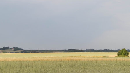 A field in Kashubia. Agriculture concept. Northern Poland.の写真素材