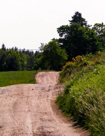 A journey through the Kashubian village. Kashubian region is in north part of Poland. Agriculture and nature concept.の写真素材