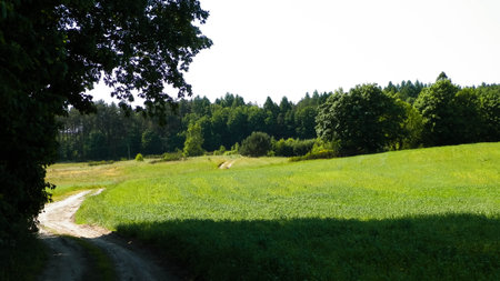 A journey through the Kashubian village. Kashubian region is in north part of Poland. Agriculture and nature concept.の写真素材