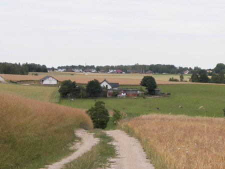 Road over fields in Kashubia. Poland. Touristic concept - travel and nature concept.の写真素材