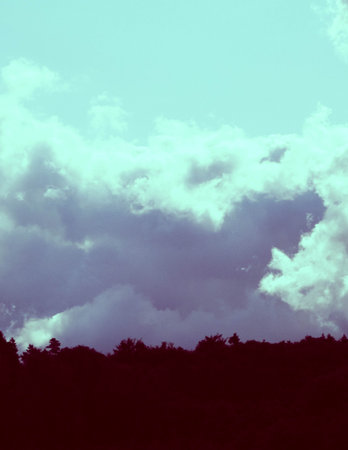 Abstract photo - Forest and cloudy sky.