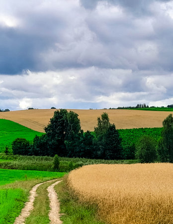 Stormy sky over meadows. Pure nature, beautiful landscape of northern Poland.の写真素材