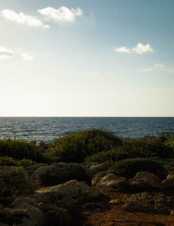 Coastal area in Cyprus near Coral Bay. Pure nature.の写真素材