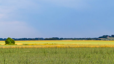 A field in Kashubia. Agriculture concept. Northern Poland.の写真素材