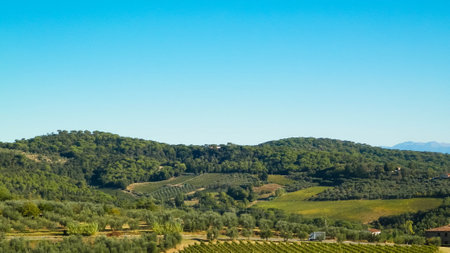 Landscape of the Tuscan vineyards in sunny day. Nature and agriculture concept. Holidays in Italy. Copy space.の写真素材