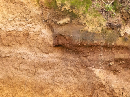 Soil as a natural background.の写真素材