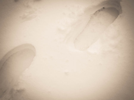 Nature background - shoe footprint in fresh snow. Copy space, exploration concept.の写真素材