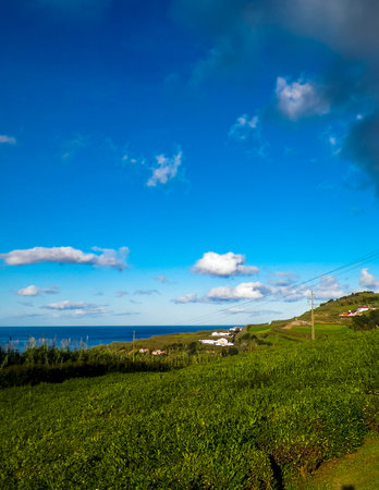 Beautiful view of coastal area on Sao Miguel island. Beautiful nature of Azores.の写真素材