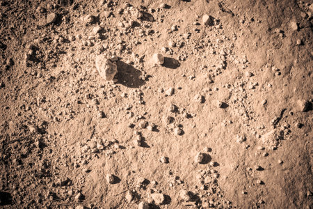 Desert ground as a natural background.