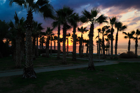 Coast of tropical Perivolia beach in Cyprus at sunset.の写真素材
