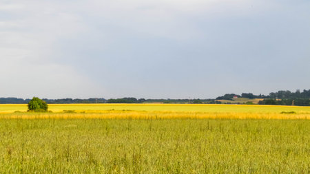 Countryside in northern Poland Kashubia beauty in nature concept.の写真素材