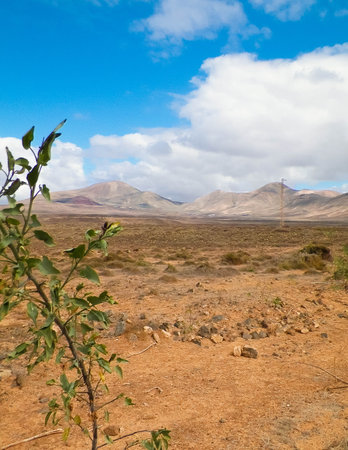 Desert on Lanzarote Island. Pure nature of the Canarian archipelago.