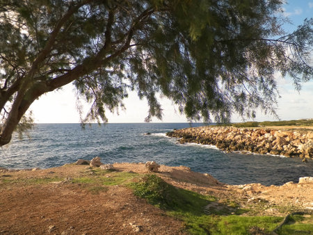 Coastal area in Cyprus near Coral Bay. Pure nature.の写真素材