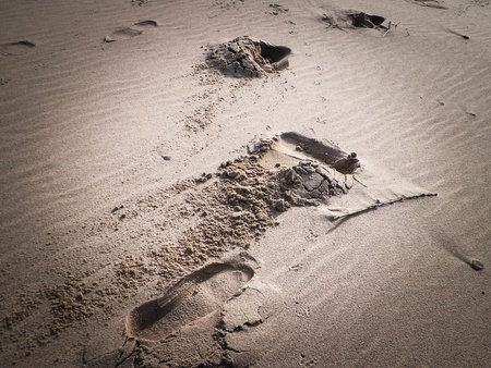Travelers footstep on beach or desert. Natural background.の写真素材