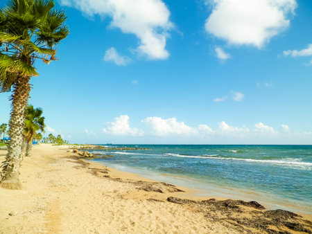 Tropical view of palms, beach and Mediterranean sea near Paphos City, Cyprus island. Travel concept.の写真素材