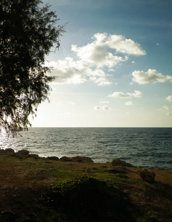 Coastal area in Cyprus near Coral Bay. Pure nature.の写真素材