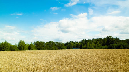 Cloudy sky over field in Kashubia. Incoming rain.の写真素材