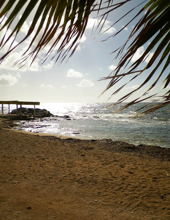 Tropical beach near Paphos City, Cyprus island. Copy space on blue sky - good background for a postcard.の写真素材