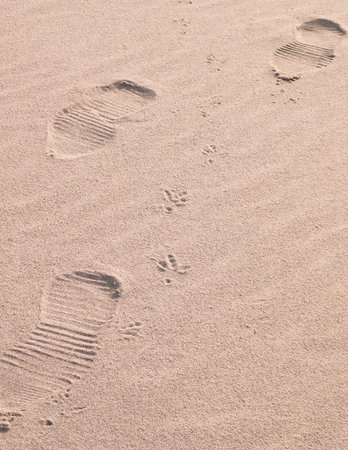 Travelers footstep on beach or desert. Natural background.の写真素材