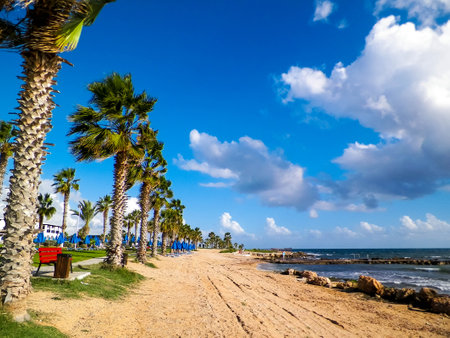 Park area and beach in Paphos on Cyprus Island. Exotic climate and travel concept.の写真素材