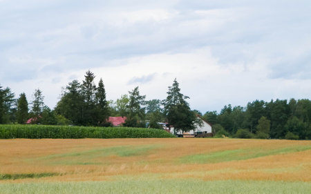 Clouds over field in Kashubia. Incoming rain.の写真素材