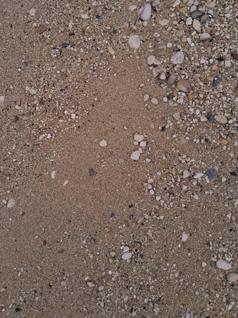 Ground natural background. Copy space.の写真素材