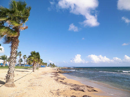 Tropical view of palms, beach and Mediterranean sea near Paphos City, Cyprus island. Travel concept.の写真素材