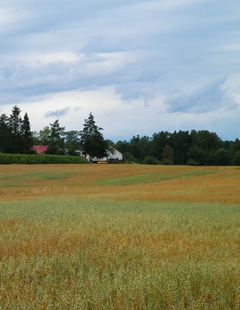 Clouds over field in Kashubia. Incoming rain.の写真素材