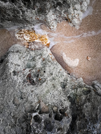Coastal rocks and sea water as a natural background. Copy space.の写真素材