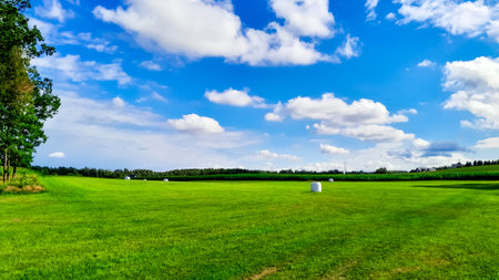 Sheaves of hay in the field. Agriculture in Northern Poland.の写真素材
