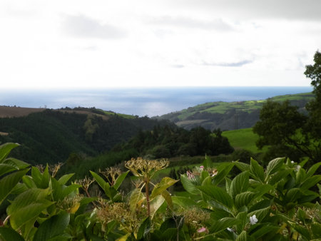 Typical landscape of Azores. Natural green fields hills and sea in a background. Beauty of nature concept.の写真素材