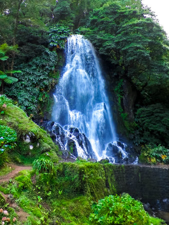 Waterfall in tropical forest. Azores Archipelago. Sao Miguel Island.の写真素材