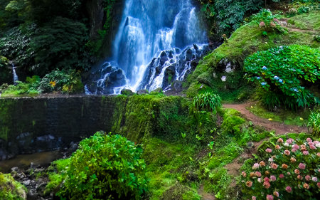 Waterfall in tropical forest. Azores Archipelago. Sao Miguel Island.の写真素材