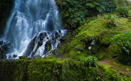 Waterfall in tropical forest. Azores Archipelago. Sao Miguel Island.の写真素材