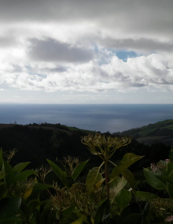 Typical landscape of Azores. Natural green fields hills and sea in a background. Beauty of nature concept.の写真素材