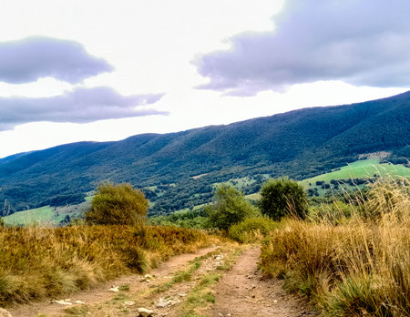 Beautiful view of Bieszczady mountains. Carpathians. Beauty of nature.の写真素材