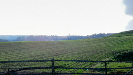 Green fields, hills and meadows. Landscape of Wiezyca region in Kashubia northern Poland in autumn.の写真素材