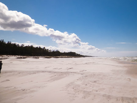 Huge beach. Baltic Sea coast. One of the biggest beaches in Poland.の写真素材