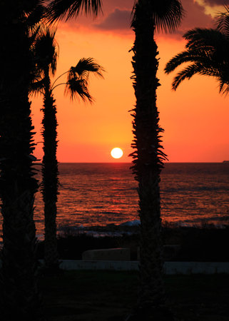 Coast of tropical Perivolia beach in Cyprus at sunset.の写真素材