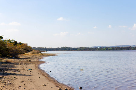 Lake Larnaca ob Cyprus. Salt lake near city of Larnaca. Natural habitat of flamingo birds.