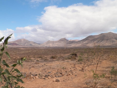 Desert on Lanzarote Island. Pure nature of the Canarian archipelago.の写真素材