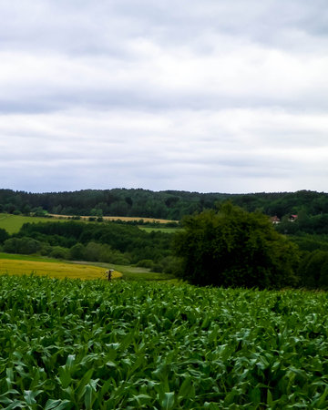 Fields and meadows of Wiezyca. Wiezyca is a popular touristic region of Kashubia Region. Polandの写真素材